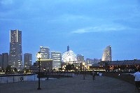 画像の説明 画像の説明